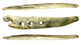 Prehistoric ivory ‘baton’ puzzled experts for years. A new study might have answers