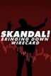 Skandal! Bringing Down Wirecard