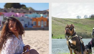 Mujer es atacada por sus propios perros en California