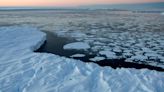 El hielo antártico marca un mínimo histórico este invierno, según agencia de EE.UU.