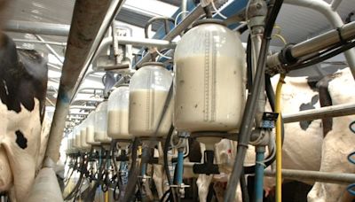 Fears of more dairy job cuts