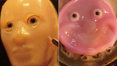 Japanese Scientists Use Collagen To Make Smiling Robots With "Living Skin"