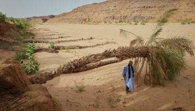 Cambio climático: la Inteligencia Artificial, una promesa convertida en amenaza | Alarmas sobre el impacto ambiental de la nueva tecnología