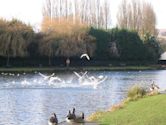 Boating lake