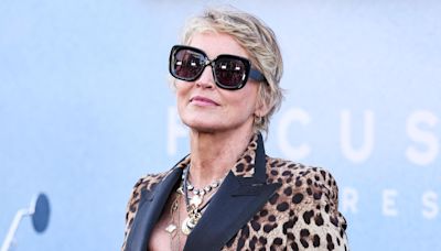 Sharon Stone blousée par ses proches : "Tout avait disparu", révélation sur les odieuses conséquences de son AVC