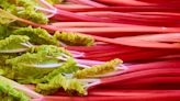 Think pink: Three ways with rhubarb to make the most of the season