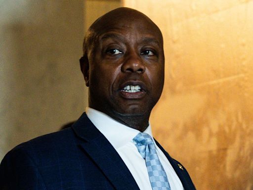 Tim Scott Goes Full Conspiracy Theory After Trump Blames Dem Rhetoric For Danger