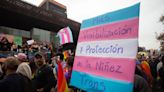 Terapia hormonal en niños trans: subsecretaria Albagli reconoce que “no existe consenso científico” sobre sus consecuencias - La Tercera