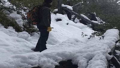 Casi un metro de nieve acumulada y árboles caídos en una playa del parque Nahuel Huapi