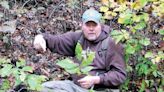 Haywood waterways hosts tree identification hike