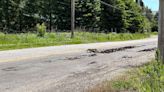 A stinky situation: Solid waste spills out of truck in Idaho, closes area for cleanup