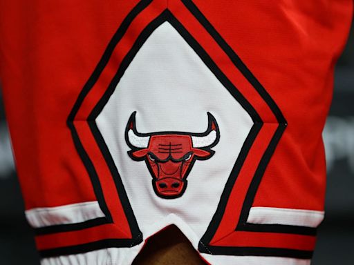 Chicago Bulls Reportedly Sign New Player