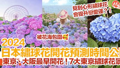 【日本繡球花2024】日本繡球花開花預測時間公開！東京、大阪最早開花！7大東京繡球花景點推介！ | HolidaySmart 假期日常