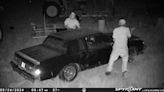 Florence County deputies look for 3 people in stolen vehicle investigation