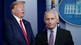 Fauci says he won't work with Trump if he's elected in 2024 and said the former president's COVID-19 response 'wasn't optimal'