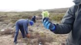 Moss ‘speed bumps’ planted on Kinder Scout to curb flood risk and restore peat