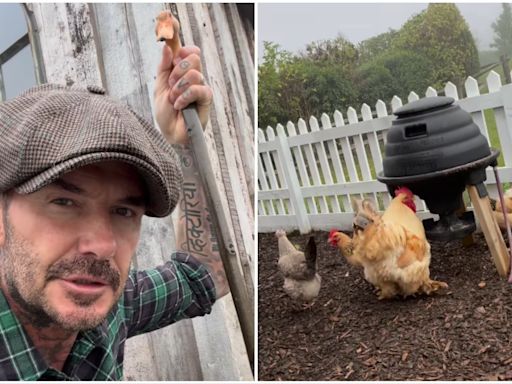 David Beckham mostró cómo es un día en su granja y su mujer Victoria le hizo un reclamo