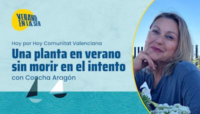 'Una planta en verano sin morir en el intento', con Concha Aragón