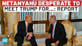 Netanyahu Desperate For Trump Meeting During USA Trip: Here's Why | Israel | Biden | US Election