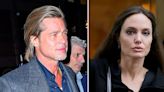 ...Her Kids to 'Avoid Spending Time With' Their Dad Brad Pitt 'During Custody Visits,' Ex-Security Guard Claims