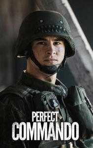 Perfect Commando