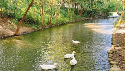 遠離都市喧囂享受大自然 桃市觀旅局激推秋節出遊景點 | 蕃新聞