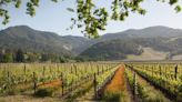 Sonoma wine country weekend: Exploring Kenwood in the Valley of the Moon