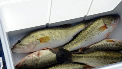 Don’t eat fish from these Alabama waters, health officials say