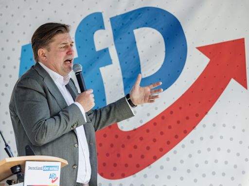 Germany's AfD bans scandal-hit lead candidate from EU election events