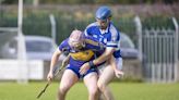 Classy Carnew Emmets too good for Barndarrig in Intermediate hurling championship clash