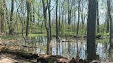 Viewpoint: Indiana's wetlands are in hot water. There is too much to lose