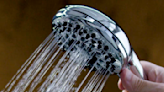 Reviewers Say This $50 Shower Head From Walmart Is ‘Majestic’ & Guarantee You’ll Have ‘The Best Showers Ever’