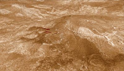 Active lava flows on Venus raise the stakes for future exploration