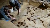 Archaeology breakthrough after perfectly preserved mammoth bones discovered