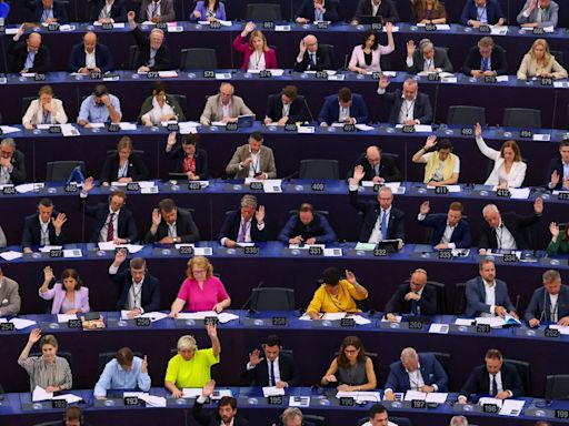 European election 2024: When it is and key issues you need to know