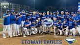 Etowah slugs past Pope, captures the GHSA 6A baseball state crown