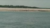 Caxambas sandbar on Marco Island loses FWC protective status