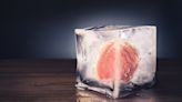 Frozen human brain tissue was successfully revived for the first time