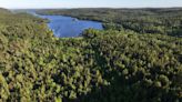 Halifax Regional Municipality receives donation of almost 100 hectares for nature reserve