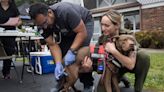 Asheville affordable pet care clinics offer free services for Emma, Deaverview residents