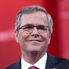 Jeb Bush