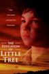 The Education of Little Tree (film)