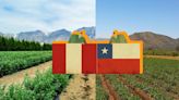 Perú estima que superará a Chile en el 2027 en agroexportaciones, ¿cuáles son los productos más solicitados?