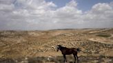 Israeli government quietly sends millions to unauthorized West Bank settler outposts