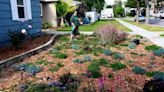 Will Redding rebate lawn replacement? Who gives airline guarantee money? Ask the R-S chat