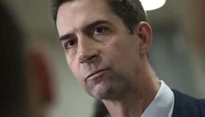 Wait Till You Hear What GOP Has to Say on Tom Cotton’s Latest Remarks