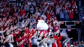 Georgia basketball coach Mike White: Revved-up Stegeman home fans 'puts us in the game'