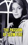 The Passion of Slow Fire