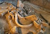 Waco Mammoth National Monument