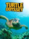 Turtle Odyssey